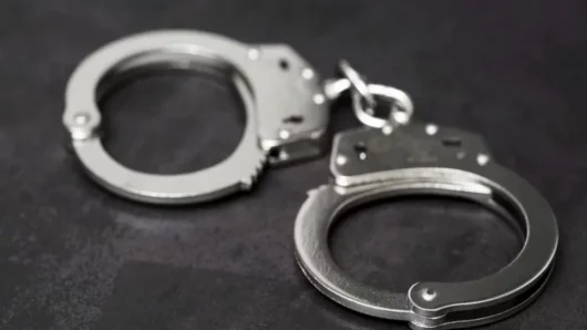 83 Arrested in Gazipur During “Operation Devil Hunt”